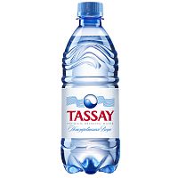 Вода питьевая Tassay, негазированная, пластик, 0.5 л