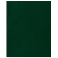 Тетрадь BG, А5, бумвинил, зелёный, 48 листов