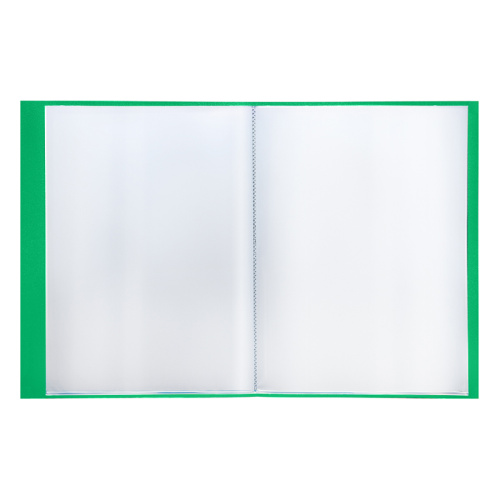 Папка с файлами Berlingo "Standard" на 10 вкладышей, зелёная фото 4